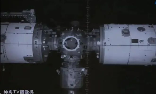 久久久久久精品免费免费wei 费免费我身边就有朋友