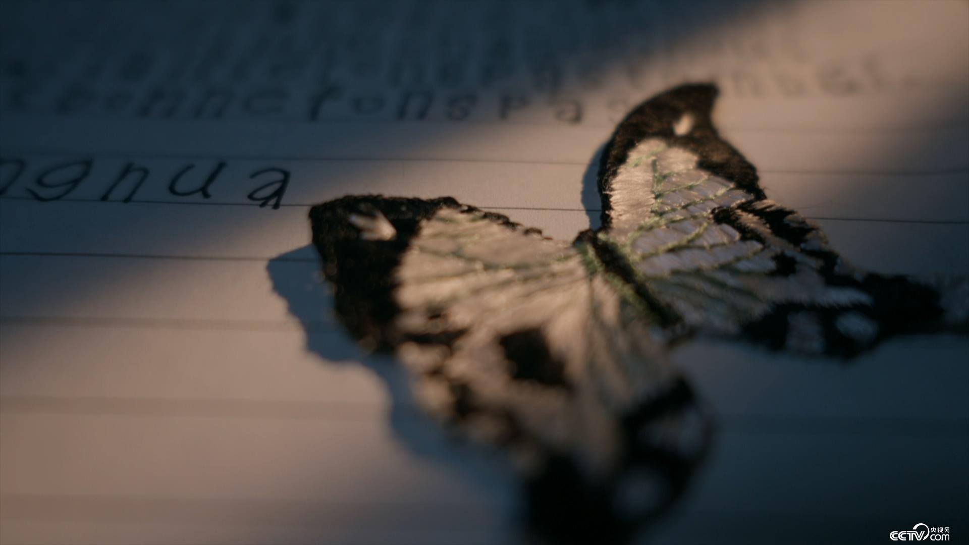 里番日漫在线观看