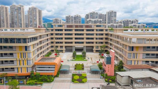 金善雅 在线观看 这类专题页面导航清晰