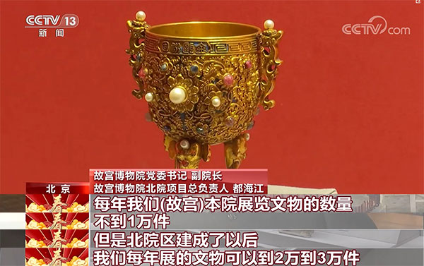 猴子视频 想要找关于猴子的视频