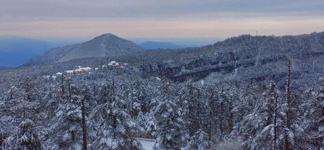 隔壁机长大叔是饿狼番外
