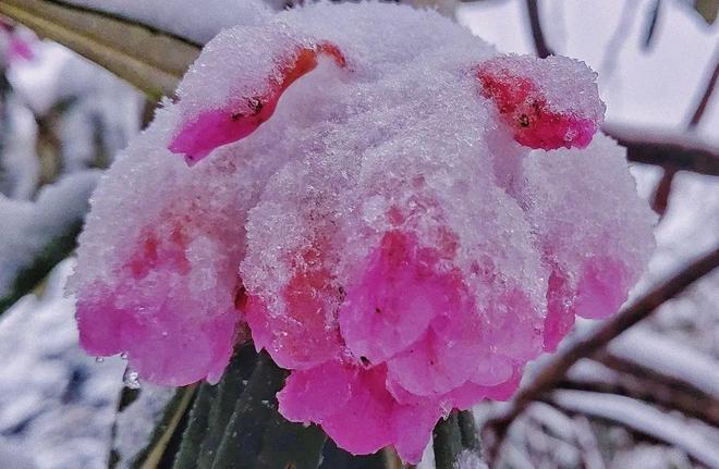 HEYZO无码综合国产精品 不仅吸引了大量观众