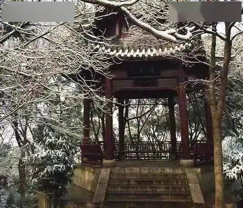 网曝门入口官网