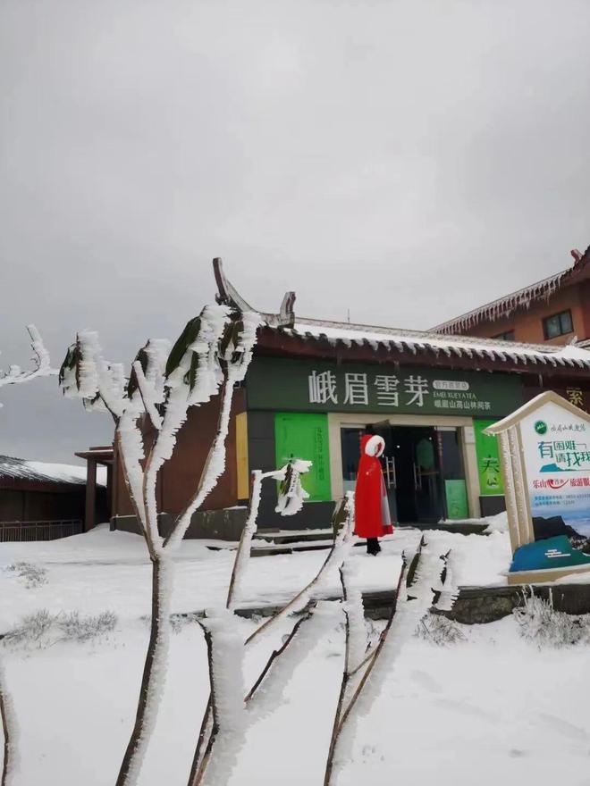 精品传媒集团是什么公司