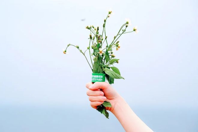 久久综合精品国产一区无码 