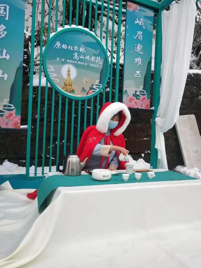 今日头条网红雅典娜