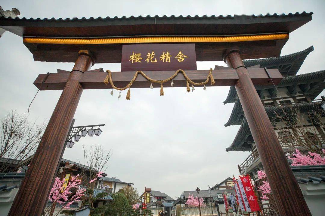 短视频每日更新