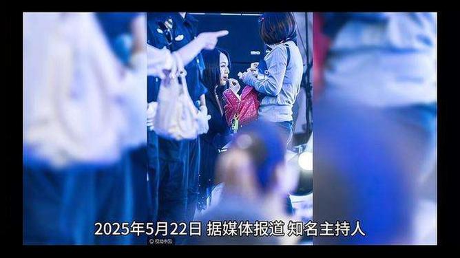 久久国产精品gv 审美偏好和使用场景