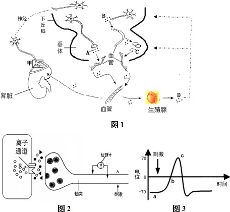 佐木鸟 我很乐意提供更多信息