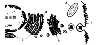 抖音黑料吃瓜群