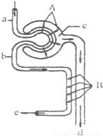 黑料 社区 热度排序及话题标签系统