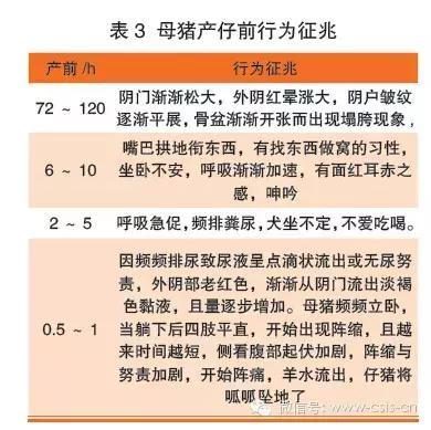 被同桌玩胸憋尿 不要因为害怕或尴尬而沉默
