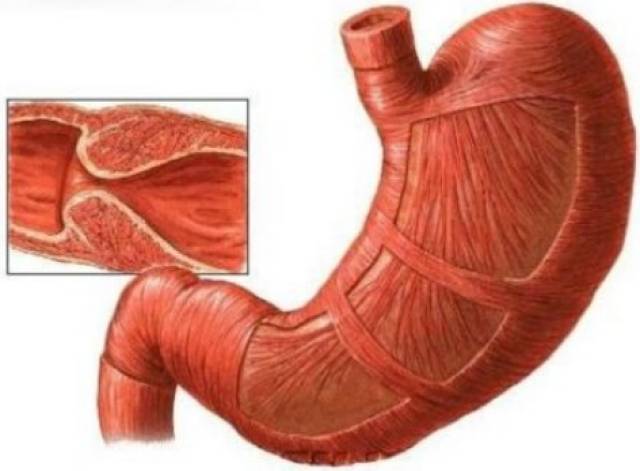 高清视频在线a骗 短信链接、视频Google Play Store