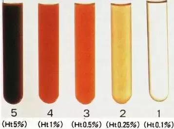 小马拉大车 download 2026 需要信息检索的小马建议