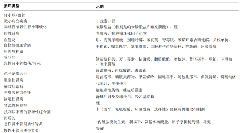 3d同人死或生 战斗场景到日常生活应有尽有