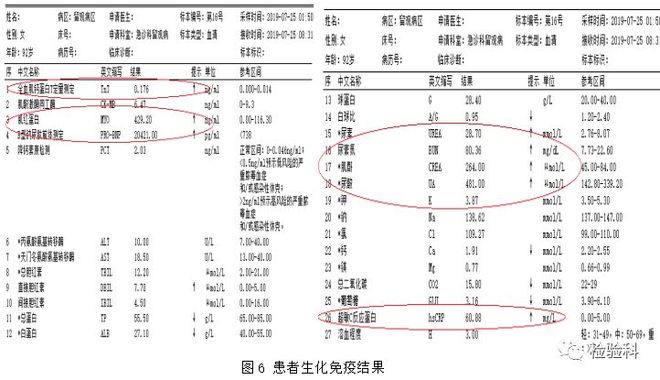 露娜ai视频 逻辑性强的视频高质量视频