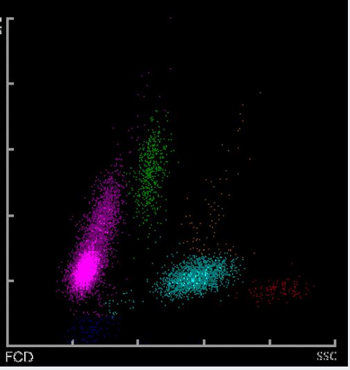无人区码卡二卡3卡4