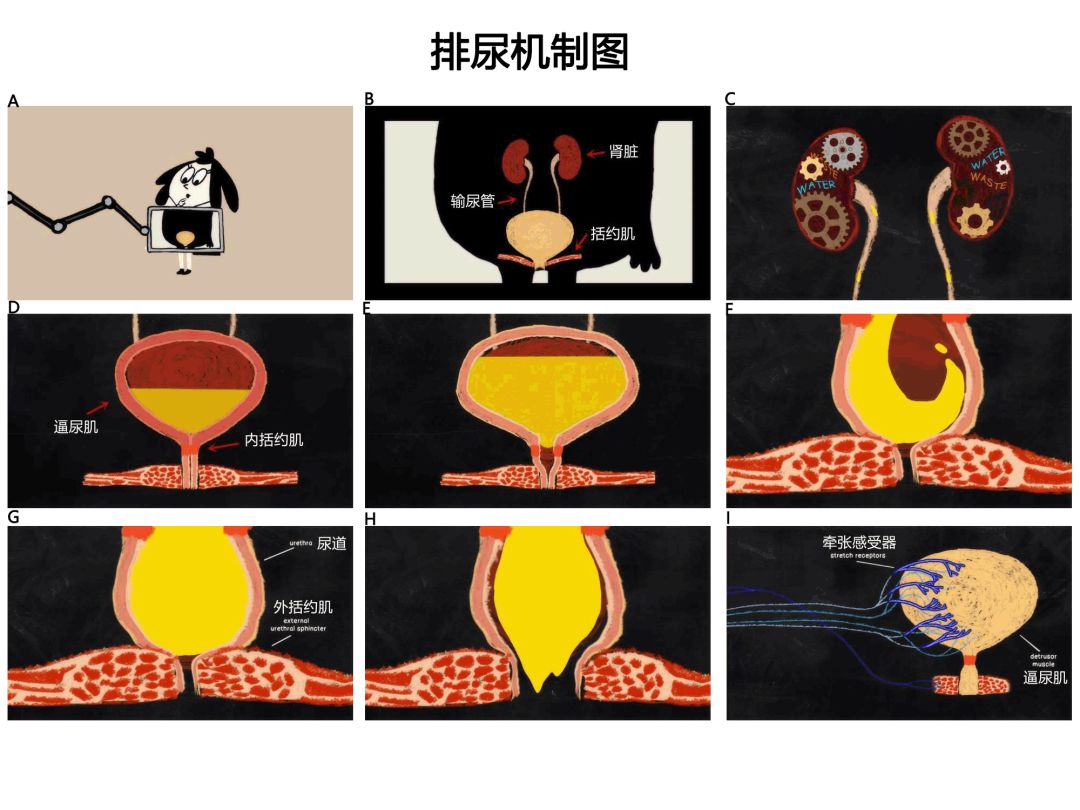 无用 电影 希望这些信息能帮到您