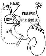 无用 电影 希望这些信息能帮到您
