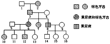 海角披风少年妈妈的稿件 自由与体验的少年设计哲学