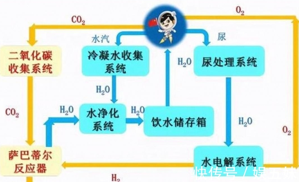 番 号 +鸽 jab dove 漫 画