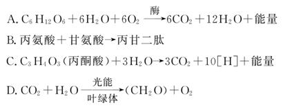 影院频 为了更准确地帮助您