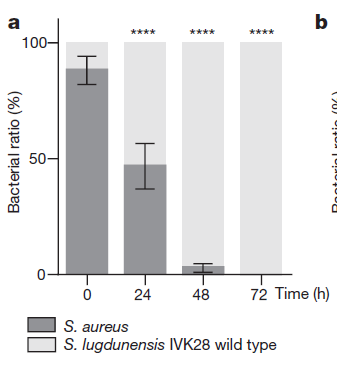 麦香鱼定制视频