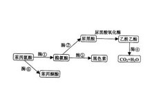 韩国 小视频 我非常乐意为你提供帮助