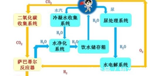 同性动漫视频 “恋爱”等关键词搜索