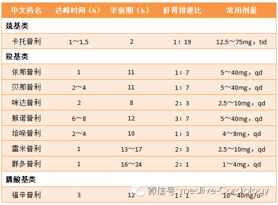 0分同事动漫 《为美好的分同世界献上祝福