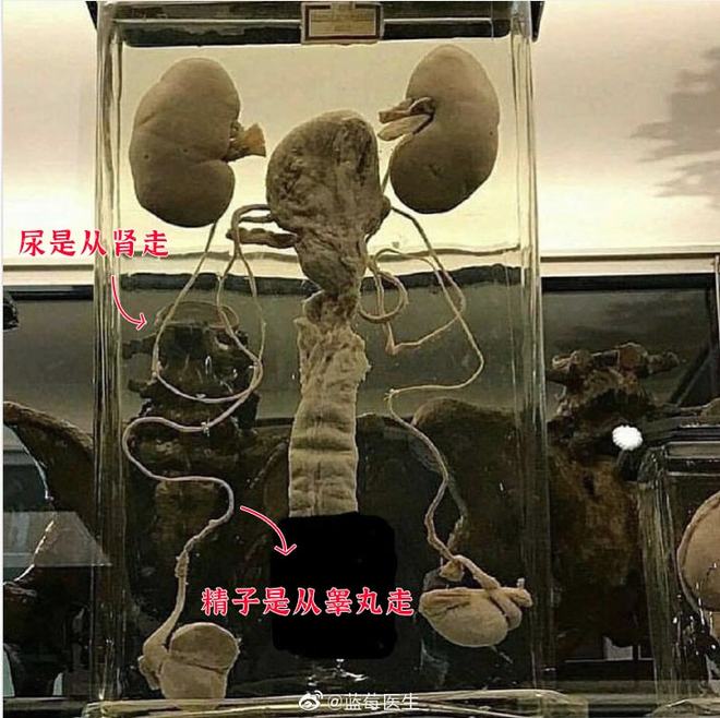 拍国产乱人伦偷精品视频