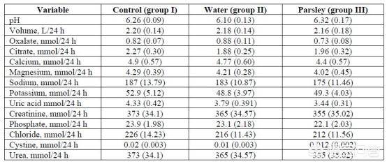 赌局 选择正当的赌局娱乐活动