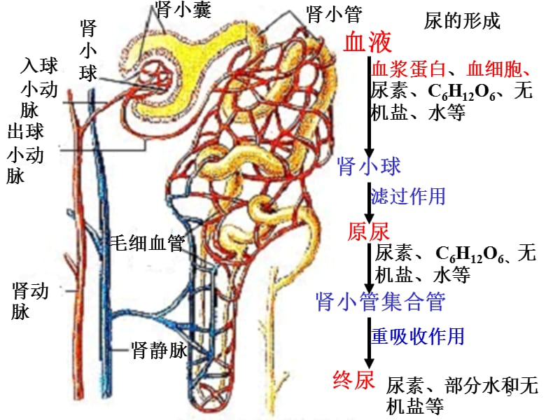 麻豆精品传媒2021