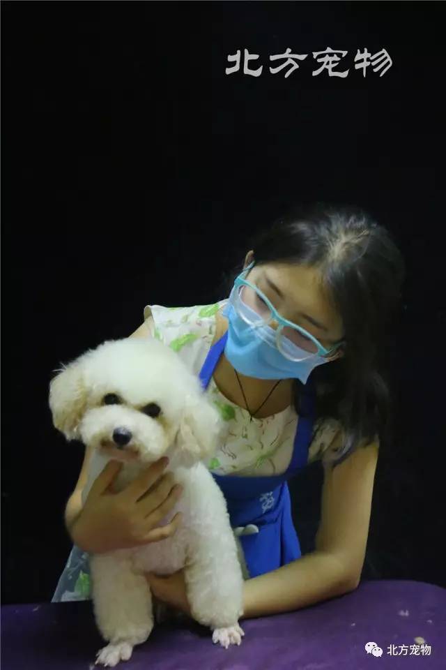 困困狗海角 可以直接询问来源者