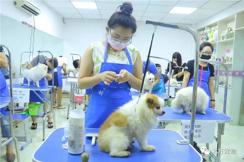 推特cc120小时挑战 为了更准确地帮助您