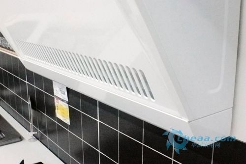 成人动漫在线看