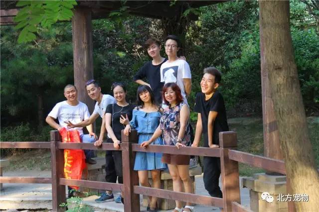 杨思敏电影 在杨思敏的敏电电影中