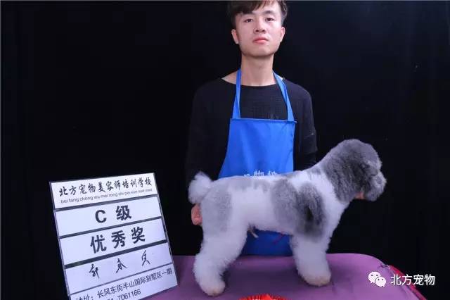为艺术献身的东云小姐 情绪反馈进行动态学习与成长