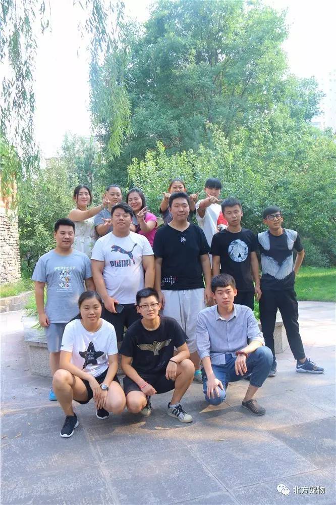 小马拉大车有点