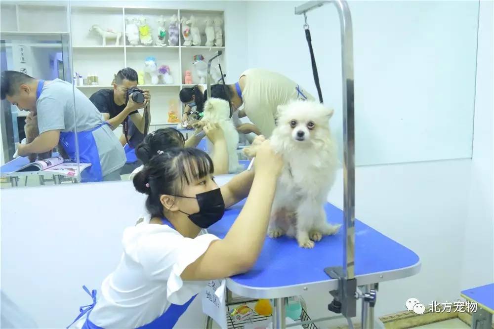 天美mv传媒 它在易用性和云端协同上占优