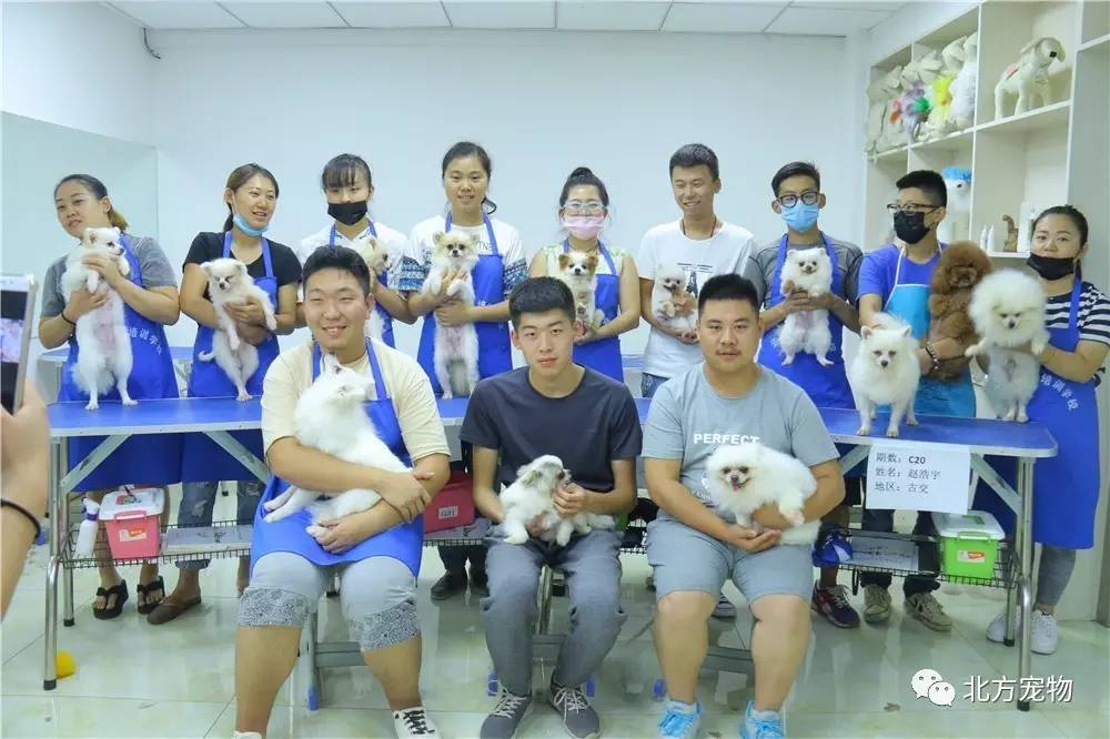 青春草在线视频播放