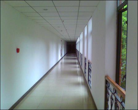 +幼 幼 视 频 yandex