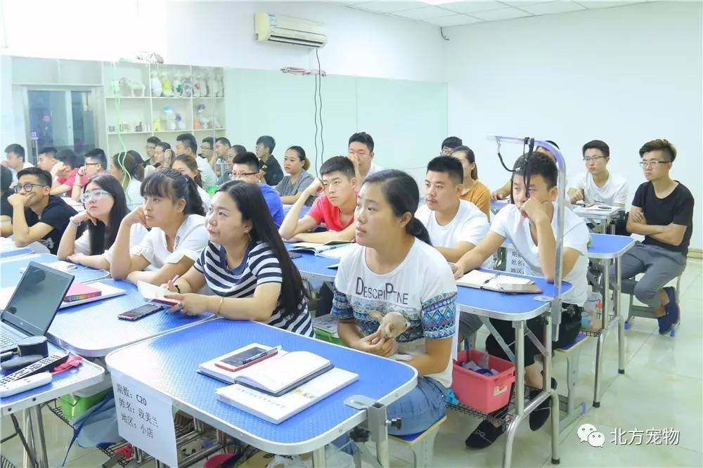 极品少妇伦理一区二区 常常被拿来讨论社会伦理问题