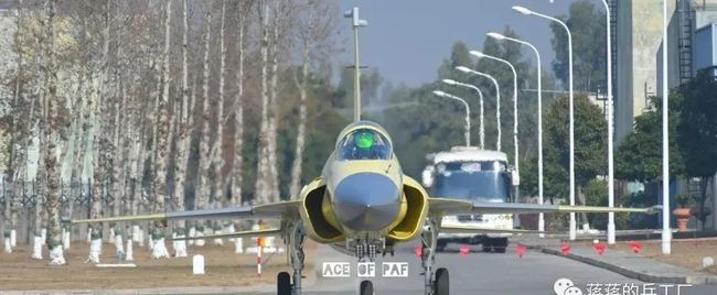 每日大赛在线免费观看