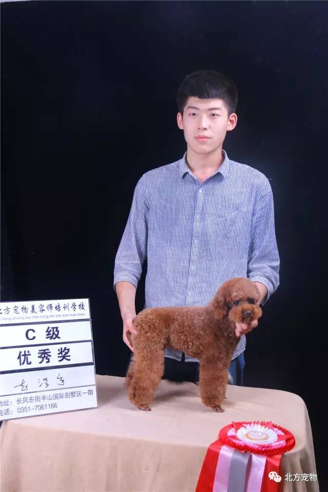 在线观看导航地址发布页