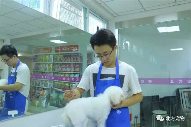 未成年.com 心理健康辅导与知识普及