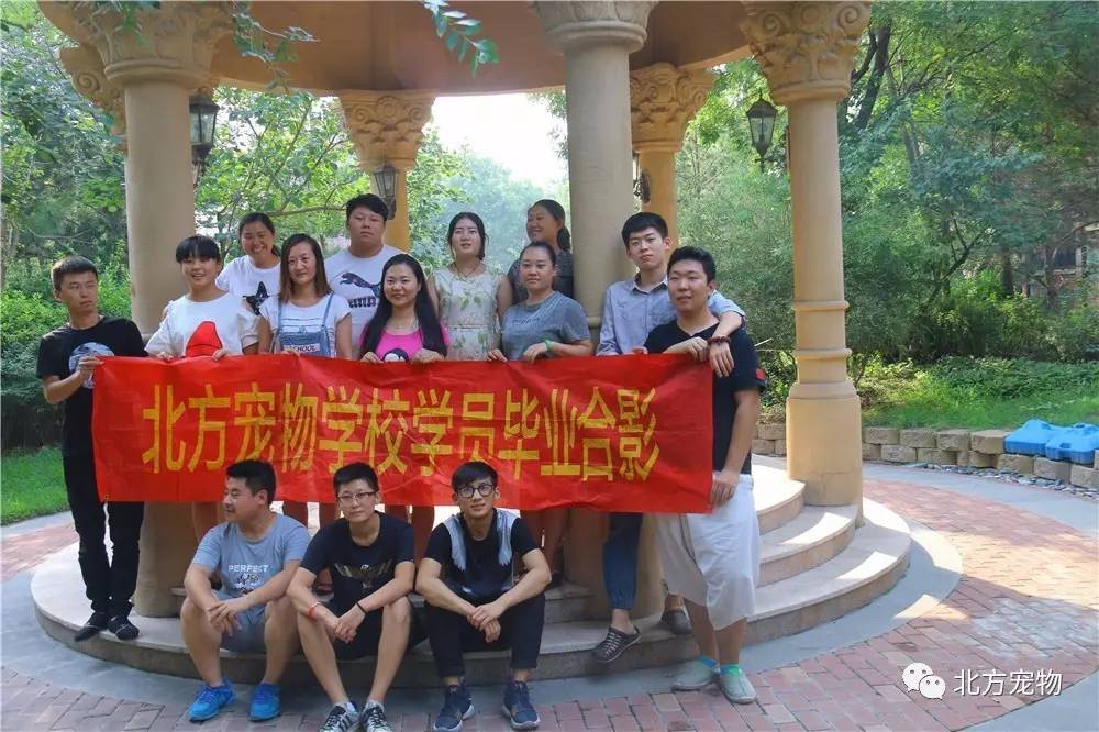 欧美内射深喉中文字幕