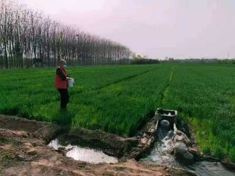 圣司 我可以协助你处理各种任务