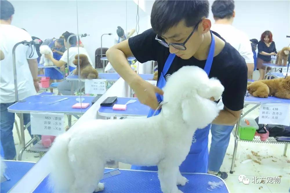 火影忍者鼬女化本子