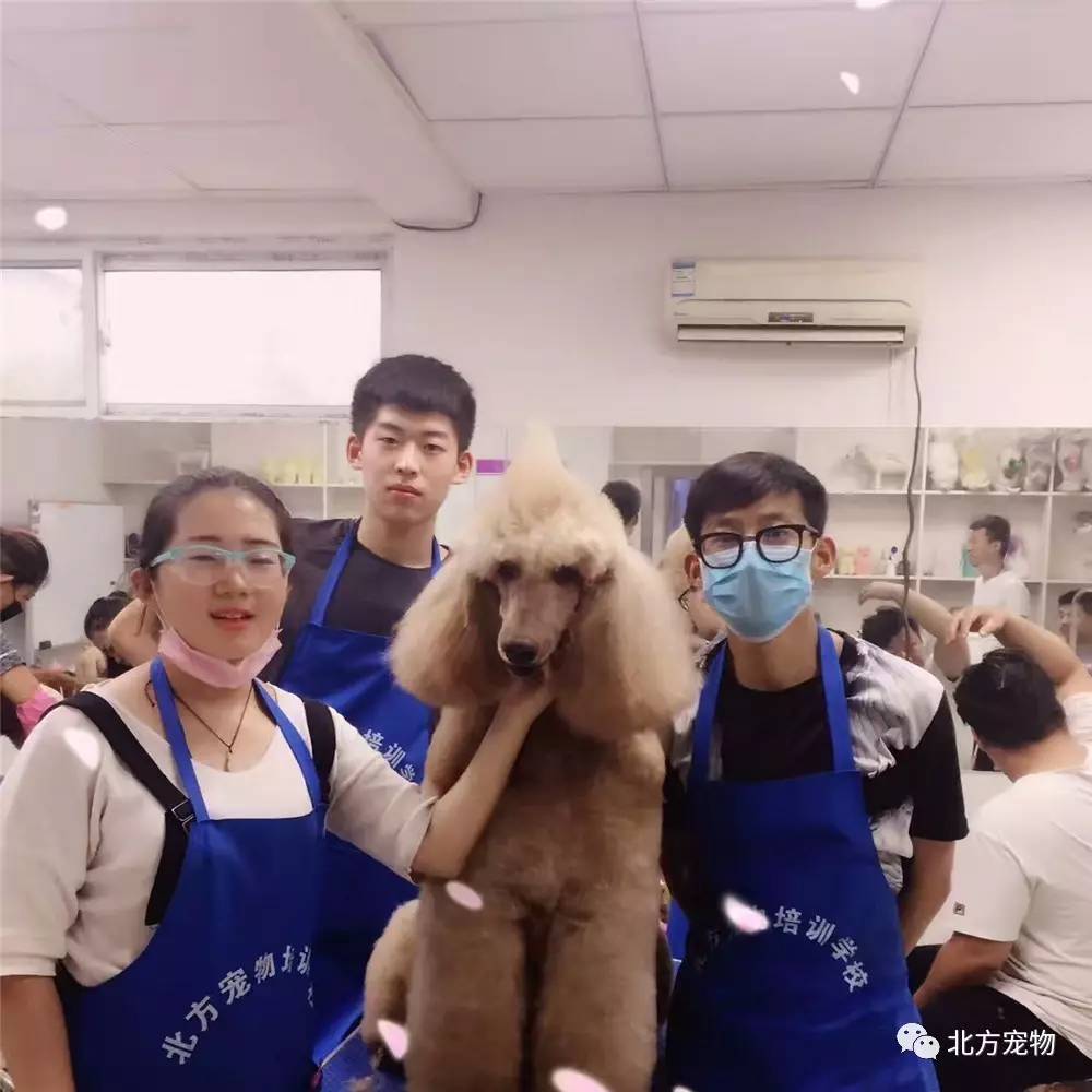 日本欧美亚洲中文在线观看